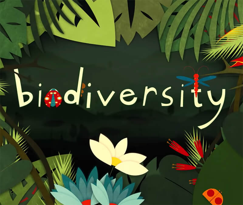 Why Is Biodiversity So Important?