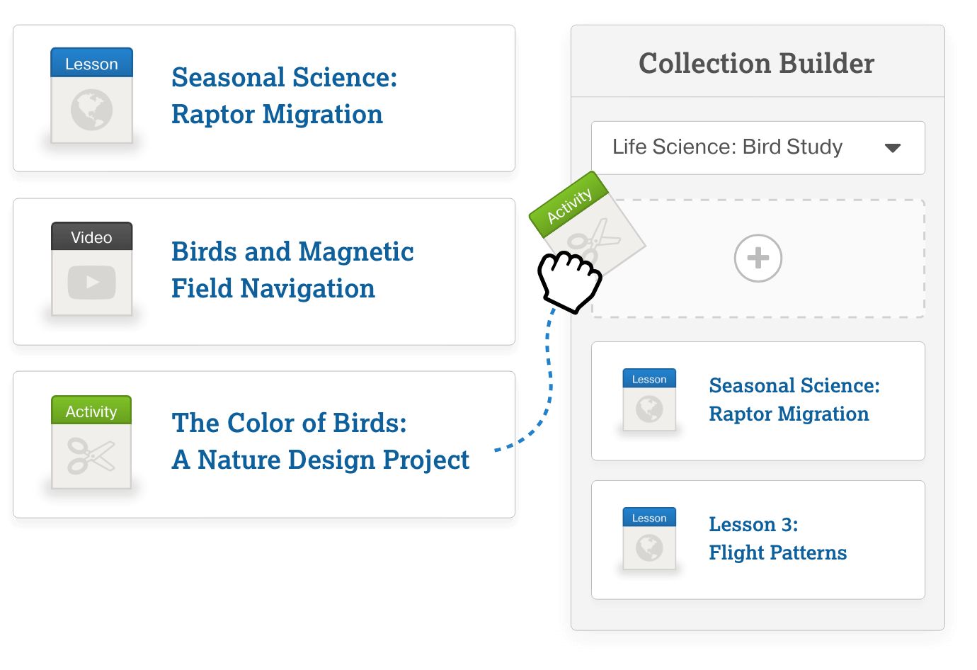 Drag and drop collection builder interface